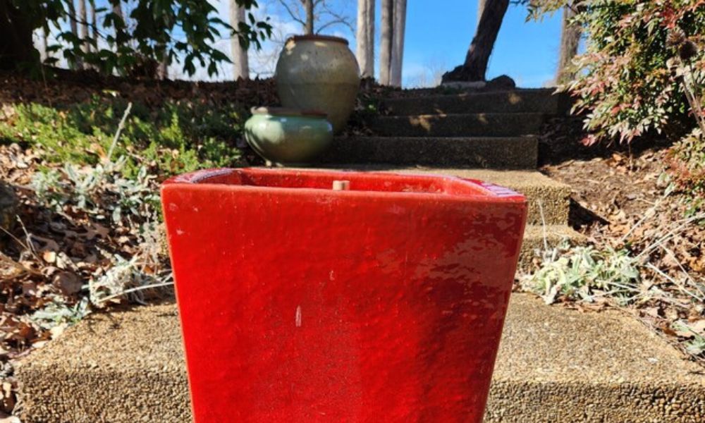 5 Tips for Preventing Debris Buildup in Your Water Fountain