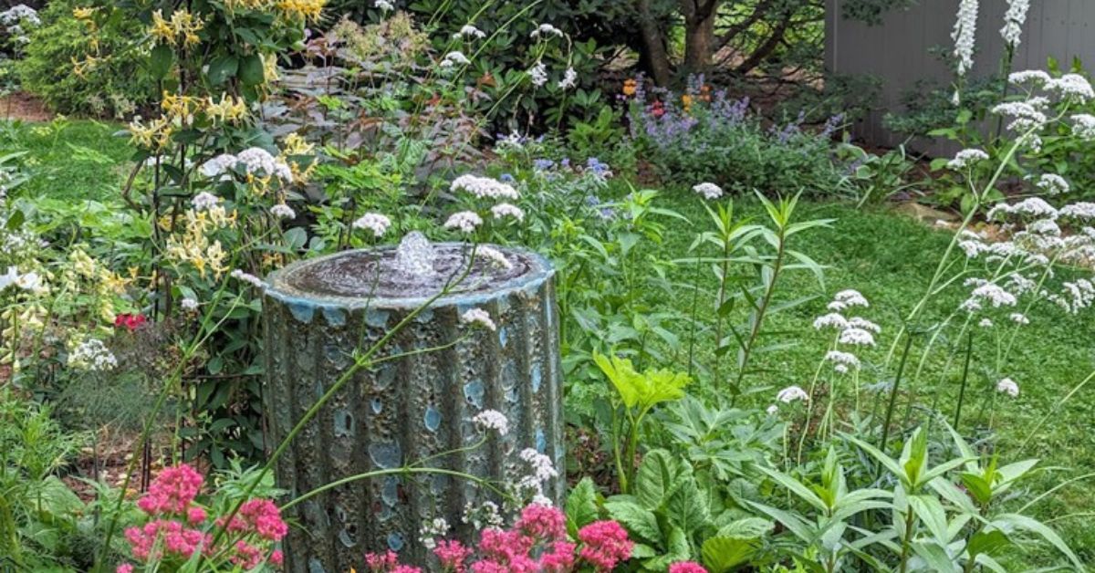 7 Unique Bird Bath Alternatives for Your Backyard